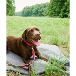 Manta Acolchada Para Mascotas Antideslizante Teddy, Tamanos Diferentes