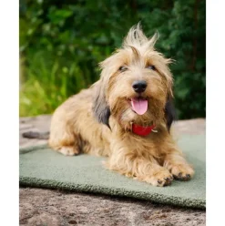 Manta Acolchada Para Mascotas Antideslizante Teddy, Tamanos Diferentes