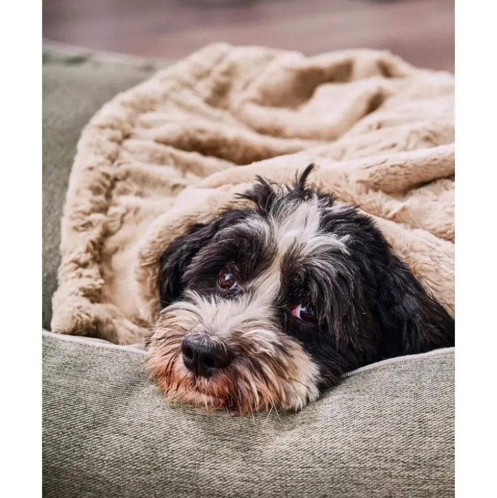 Manta Acolchada Para Mascotas Cozy, Tamanos Diferentes