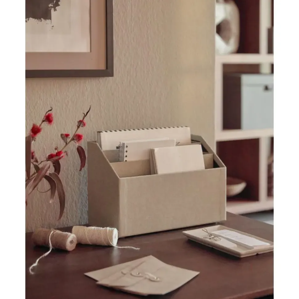 Organizador De Escritorio Hector