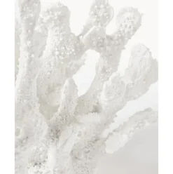 Pieza Decorativa De Diseno Coral