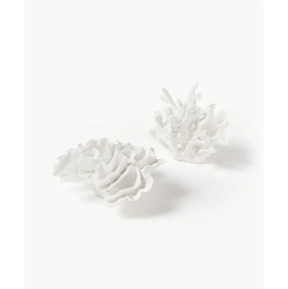 Pieza Decorativa De Diseno Coral