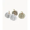 Set De Calabazas Decorativas Mercy, 4 Uds.