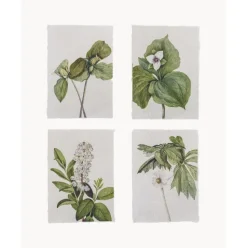 Set De Posters Fribo, 4 Uds.