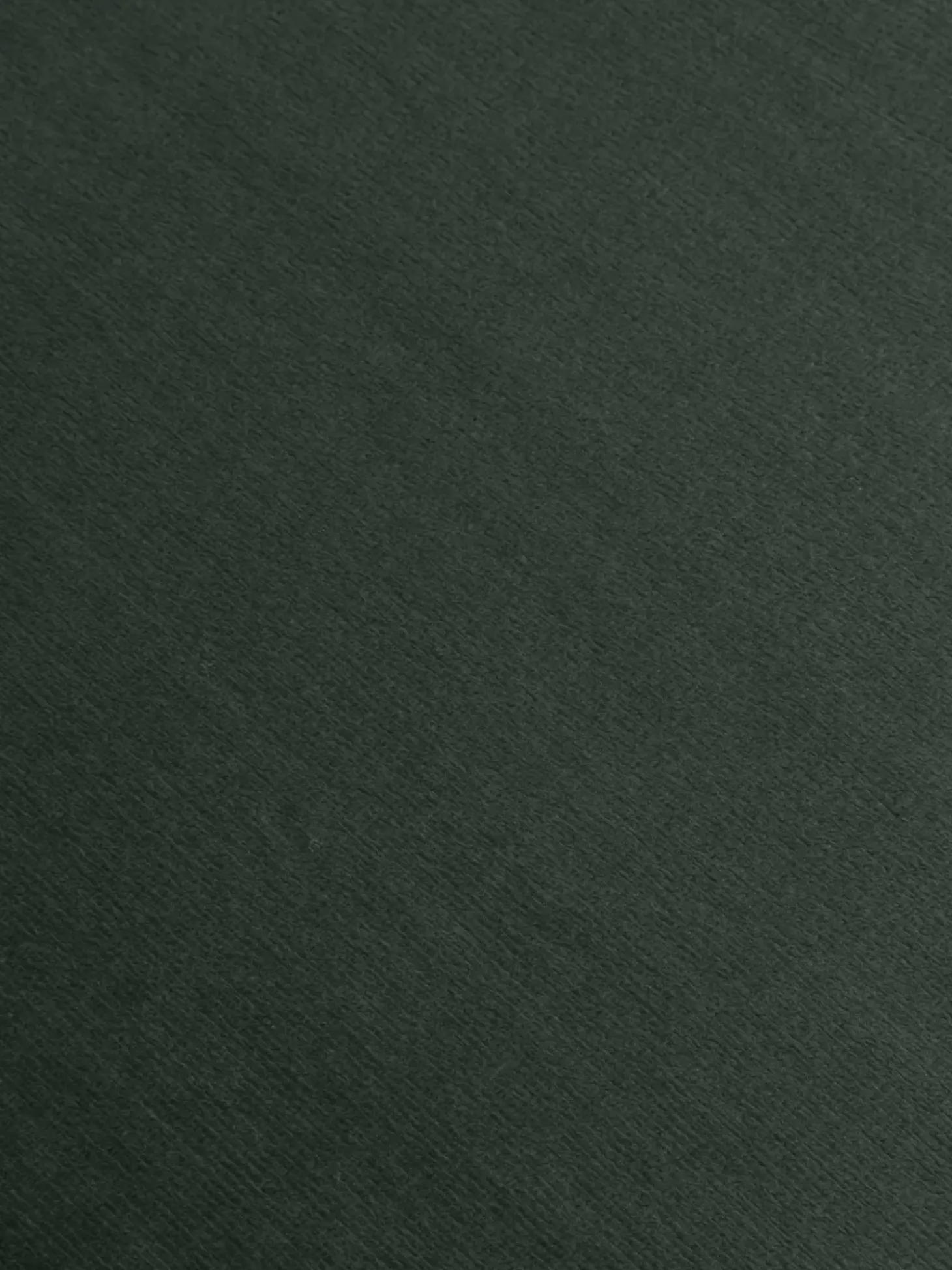 Silla Con Reposabrazos De Terciopelo Rachel