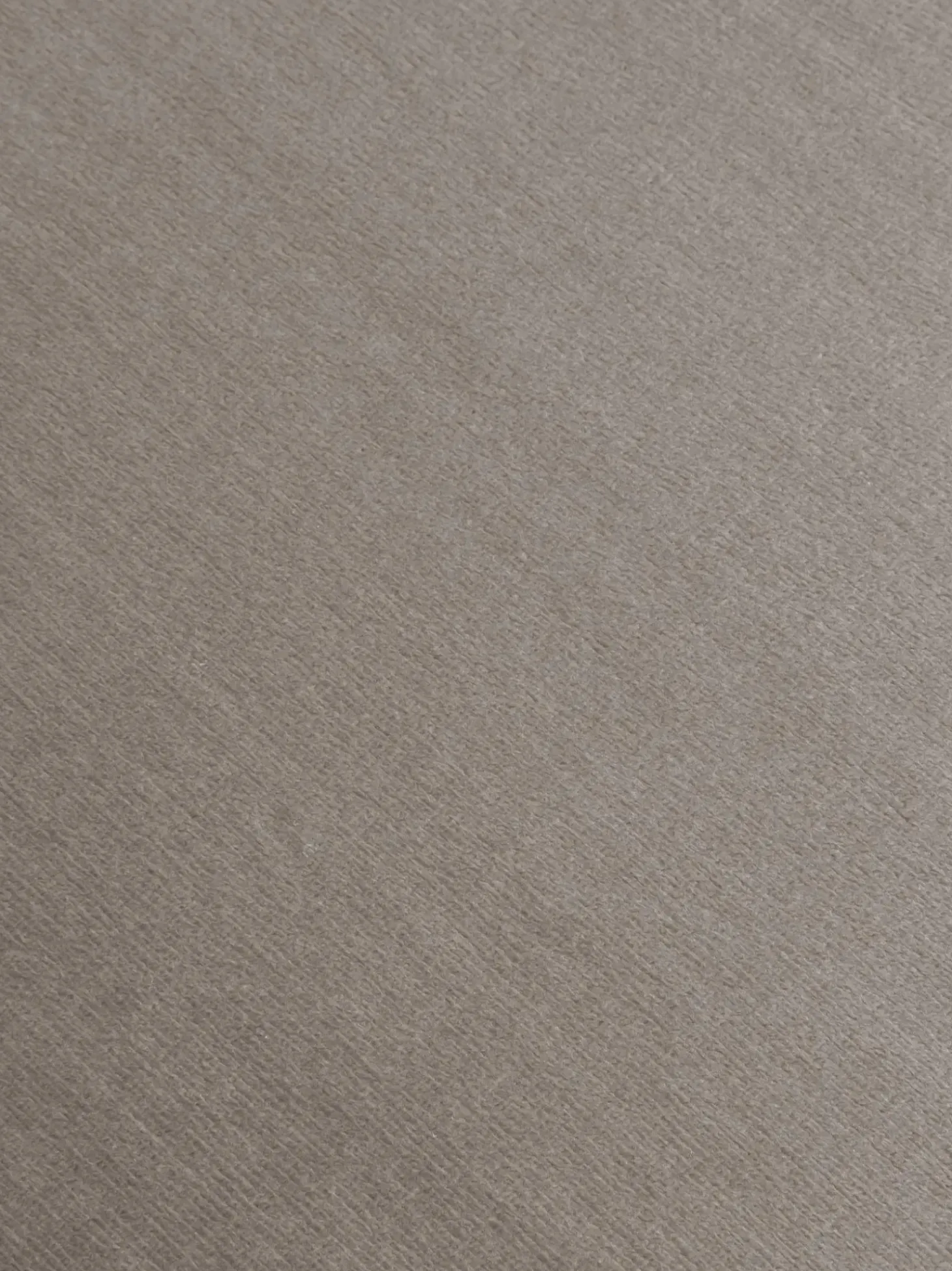 Silla Con Reposabrazos De Terciopelo Rachel