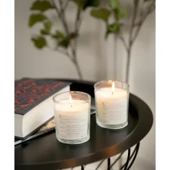 Vela Perfumada Winter (Canela)