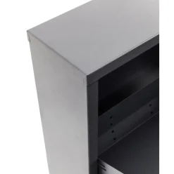 Zapatero De Pared Caruso, Puertas Abatibles