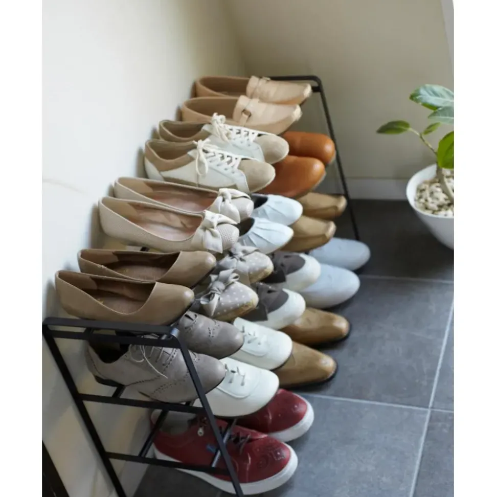 Zapatero Extensible Frame